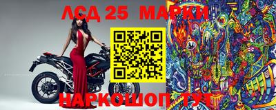 прущие грибы Мариинск