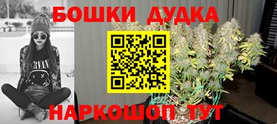 прущие грибы Мариинск