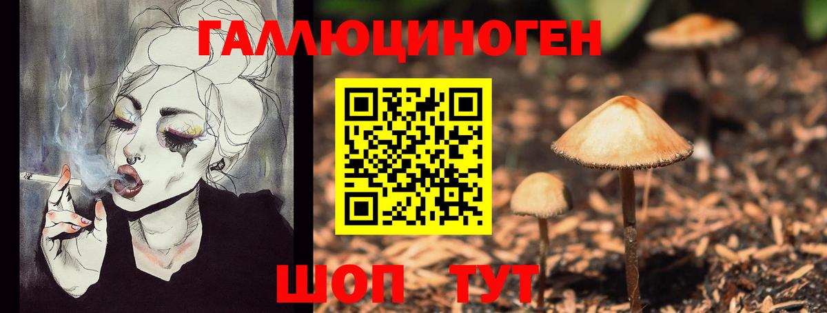 Россошь  Галлюциногенные грибы Cubensis  Вход с VPN 