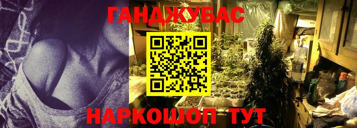 Бошки марихуана SATIVA & INDICA  Вход с VPN  Россошь  Бошки Шишки сатива 